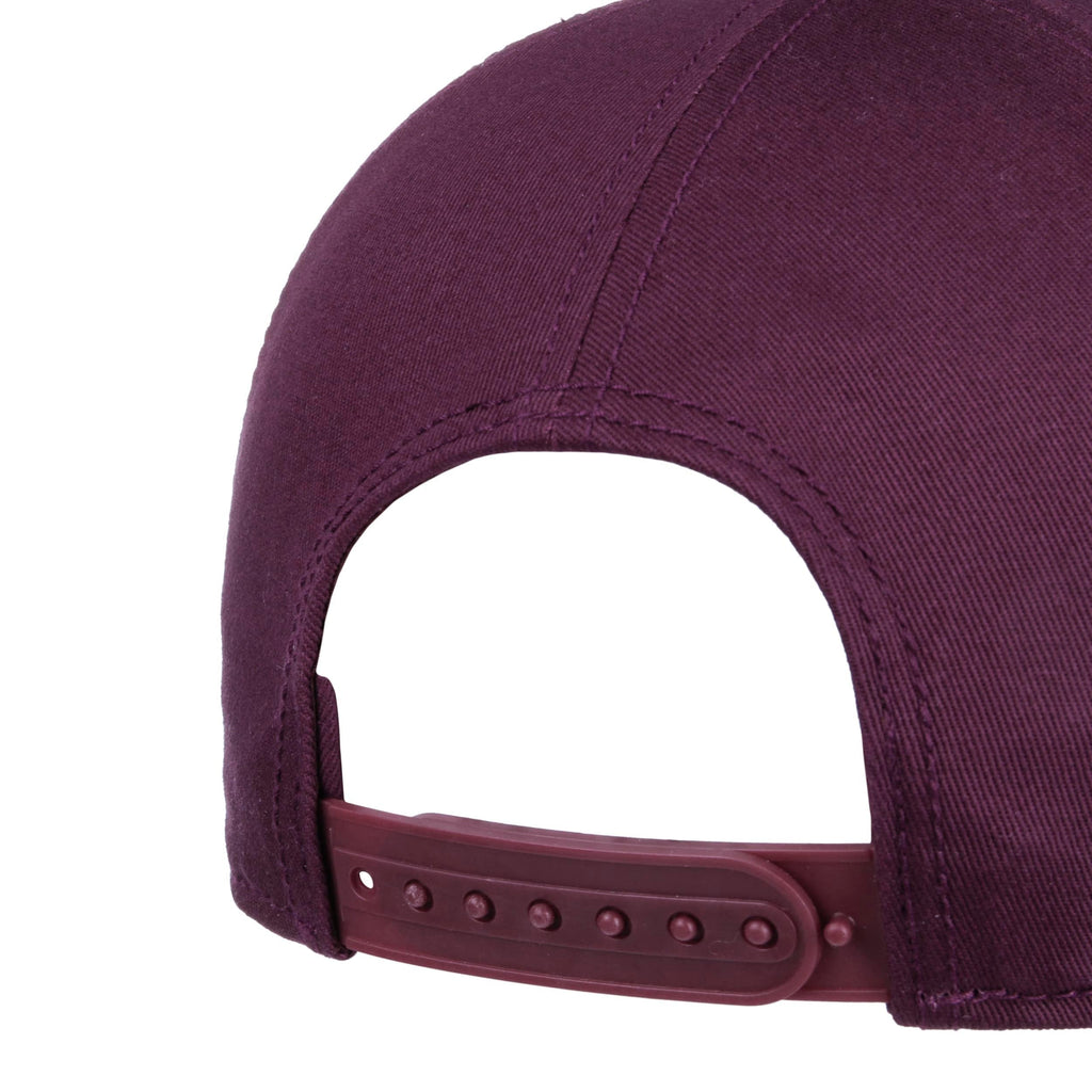 Mountain Logo Cap